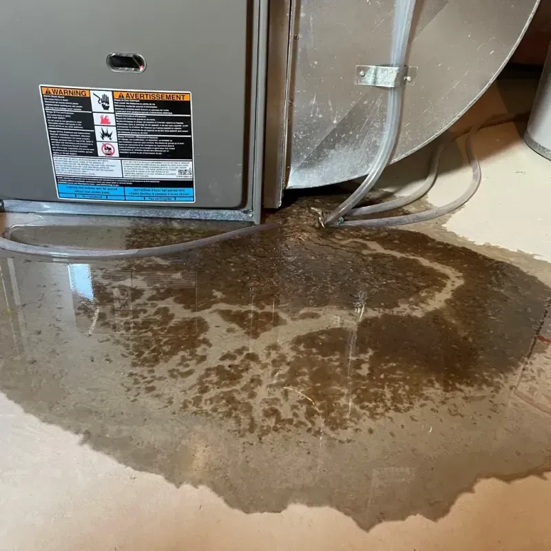 Appliance Leak Cleanup in Calhoun Falls, SC